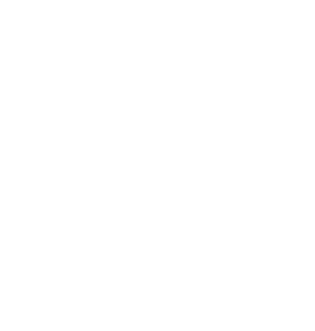 Stenstrop Tømrer & Montage logo
